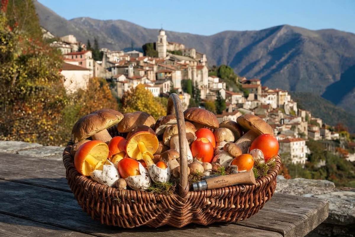 triora il paradiso dei funghi in liguria