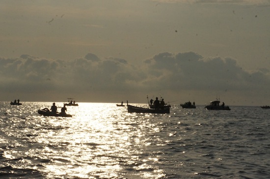 gara di pesca al bolentino