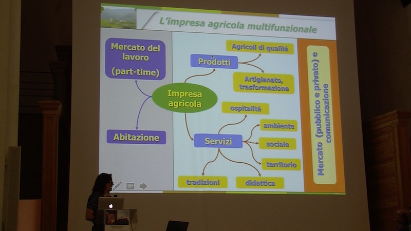 Agricoltura multifunzionale e turismo rurale Silvia Scaramuzzi