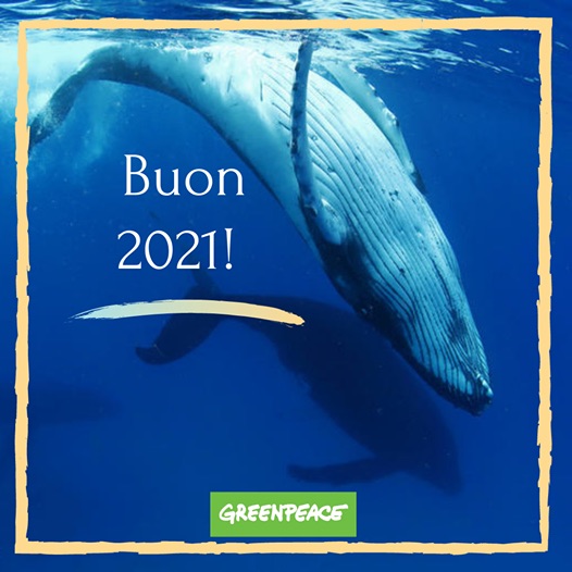 greenpeace auguri per un buon 2021
