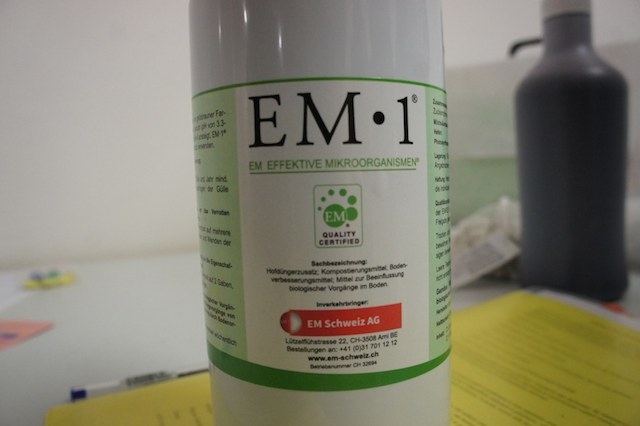 microrganismieffettivi