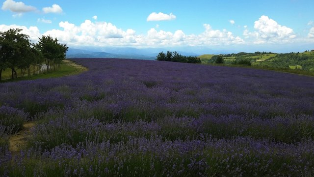 sale san giovanni distretto delle erbe