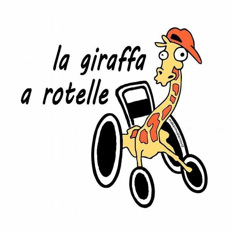 la giraffa a rotelle