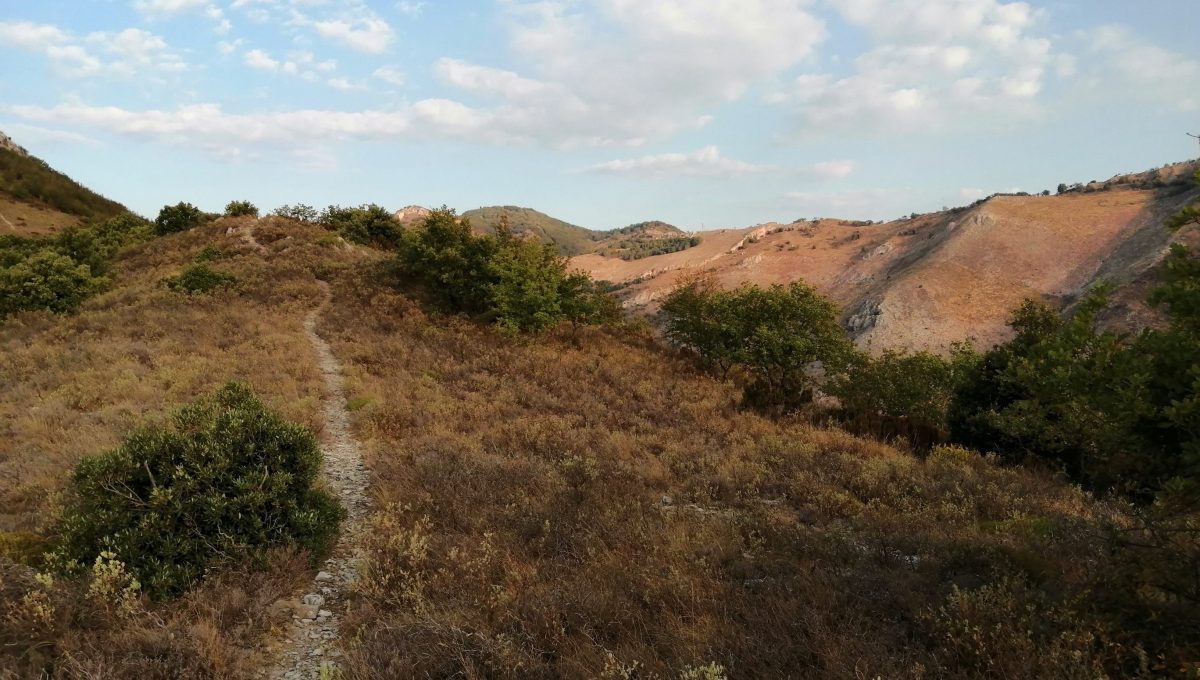 riserva naturale rio torsero