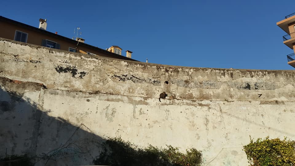 foto mura esterne del CASTELLO ONEGLIA