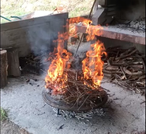 La storia della tortaverde