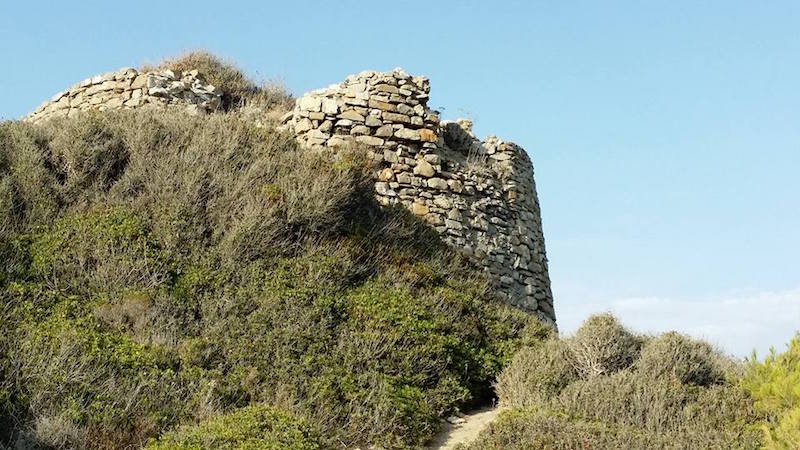 TORRIONE LEVANTE CERVO2