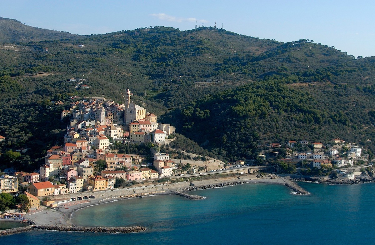 cervo