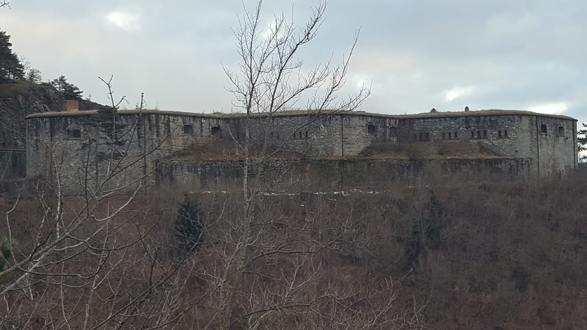 immagine dei forti nava