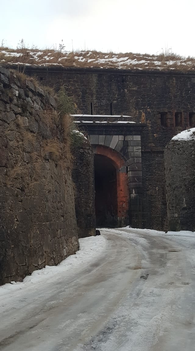 forti navaimmagine portone ingresso