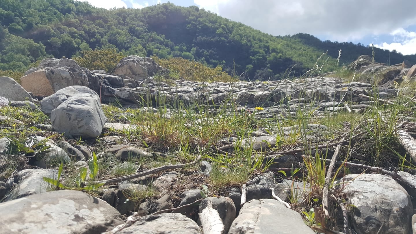 immagine di ruderi di mulattiera  inseriti nella rbrica cultutare origine nostra civiltà