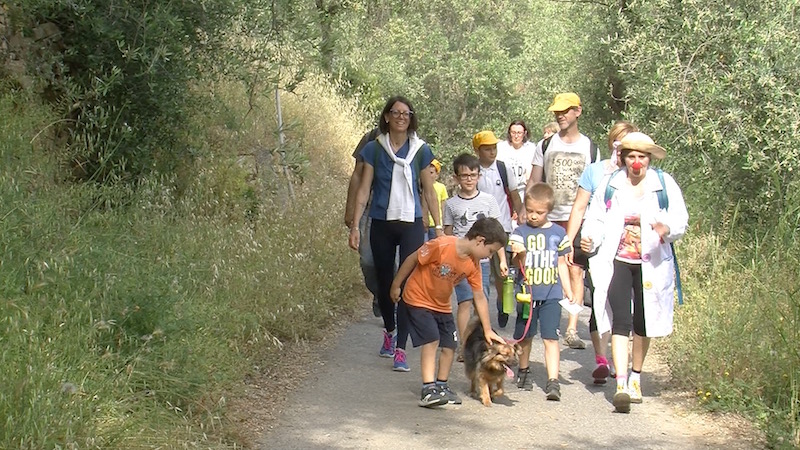 passeggiata tra le ginestre e ulivi